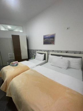 nikolli apartament